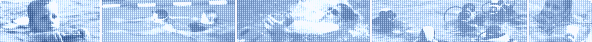 DLRG - Auswertetool